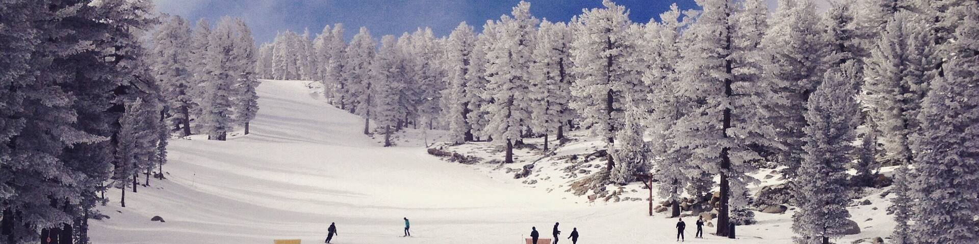 A snowy ski slope with skiers and a clear blue sky.