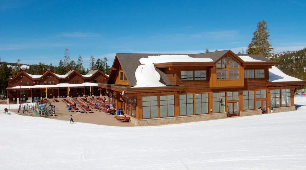 Sugar Bowl which includes snow, a luxury hotel or resort and snow skiing