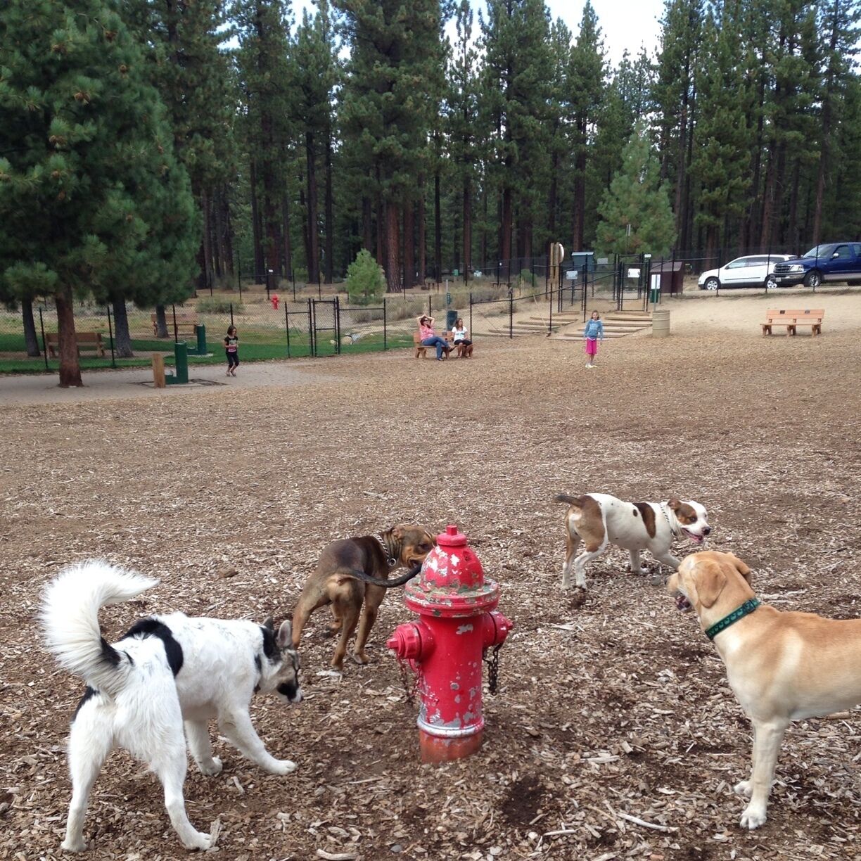 Small dog park inside Bijou Community Park.