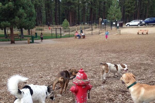 Small dog park inside Bijou Community Park.