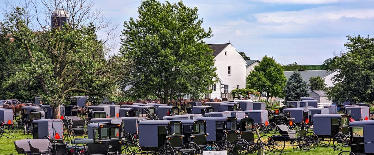 Large Group of Amish Horse and Buggies for an Event, in Lancaster, Pennsylvania