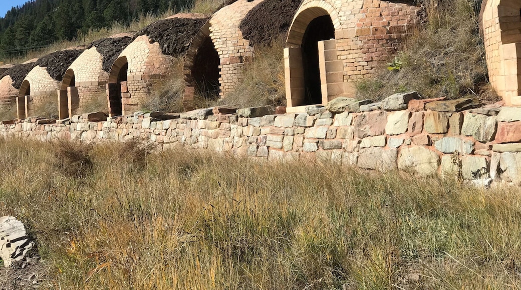#instone
Late 1800’s coke furnaces.
