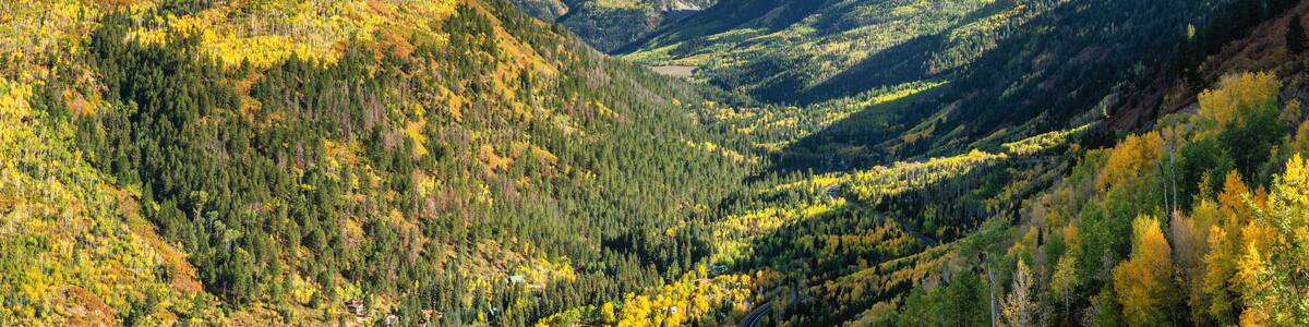 Golden Autumn Aspen on scenic highway 131 at McClure Pass - Colorado Rocky Mountains
