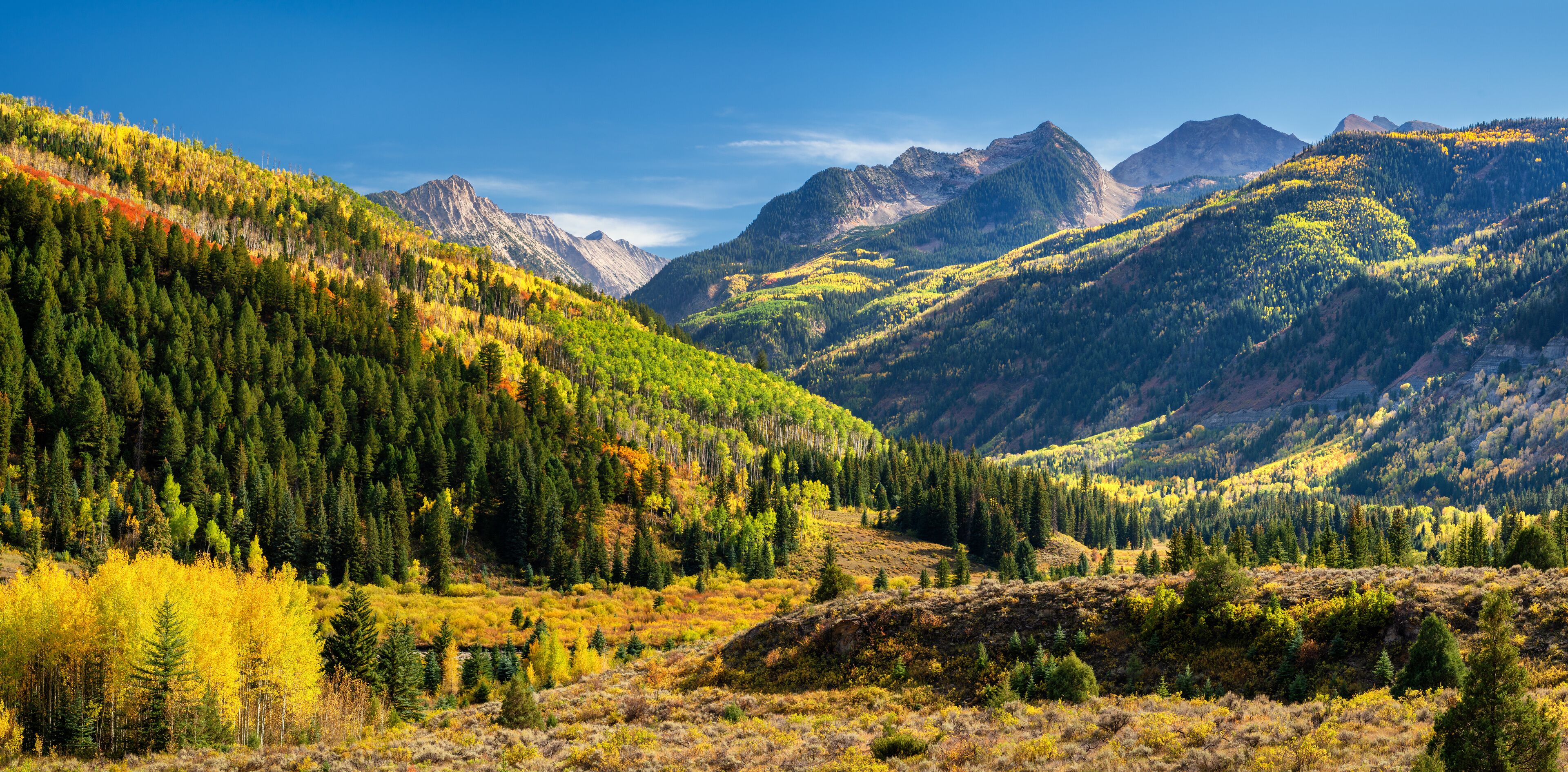 Golden Autumn Aspen at McClure Pass - Colorado Rocky Mountains