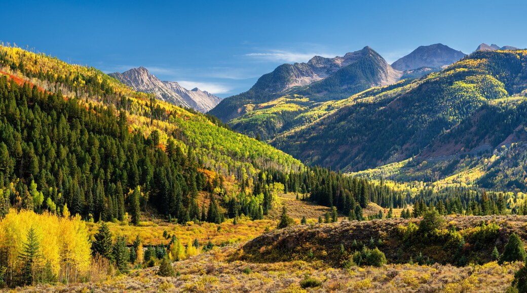 Golden Autumn Aspen at McClure Pass - Colorado Rocky Mountains