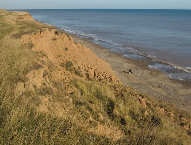 Tunstall cliffs and beach, Tunstall, East Riding of Yorkshire, England. Coastline east of the hamlet of Tunstall where, as along much of the Holderness coast, the clay cliffs are eroding at a rate of about 1.7m a year.