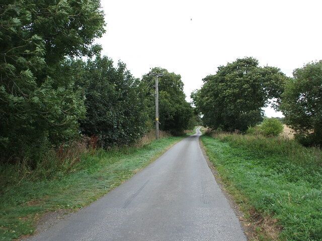 Wassand Balk, Sigglesthorne, East Riding of Yorkshire, England.