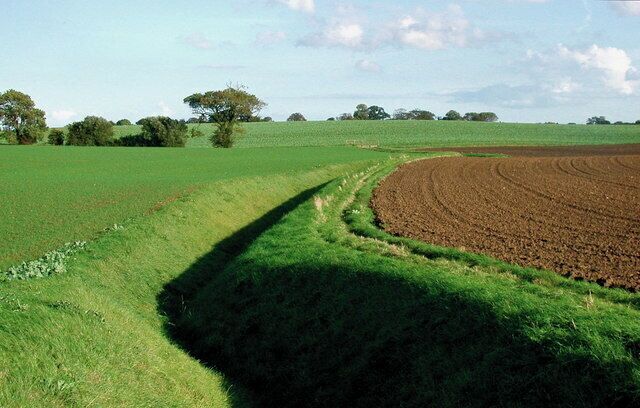 Park Hill, Burstwick, East Riding of Yorkshire, England. Looking east from the public footpath between New York and North Park farms.