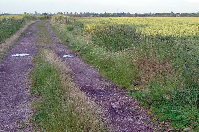 A track towards Haltemprice Farm. The track runs slightly north of east. The farm is the site of an Augustinian monastery, see 684907 for more information.