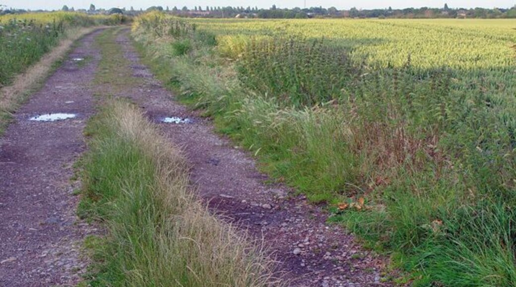 A track towards Haltemprice Farm. The track runs slightly north of east. The farm is the site of an Augustinian monastery, see 684907 for more information.