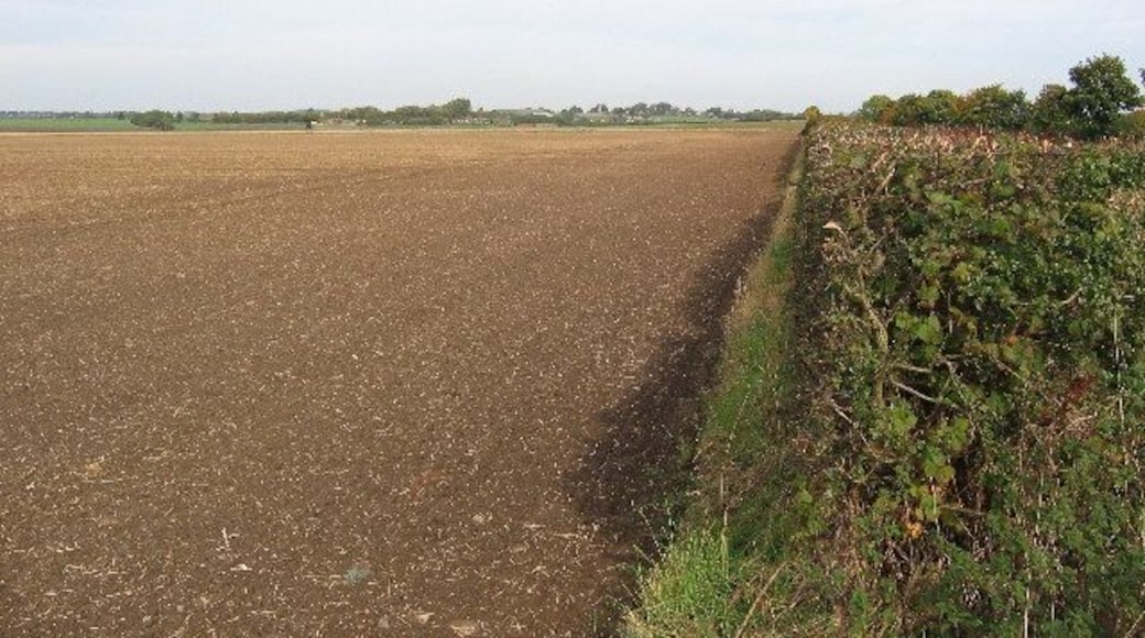Farmland north of Long Riston, East Riding of Yorkshire, England. This is a good representative view of this grid square. The road from Long Riston in the adjacent square south comes in about centre on the south edge and exits at the NE corner to Little Catwick in the next square north.