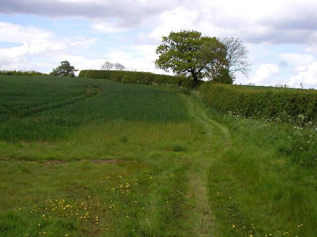 Roe Hill, north north east of Thirtleby, East Riding of Yorkshire, England. Pleasant walk up here!