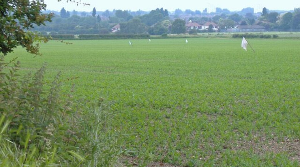 Fields near Hessle Mount, Hessle, East Riding of Yorkshire, England. Looking across to houses on Beverley Road