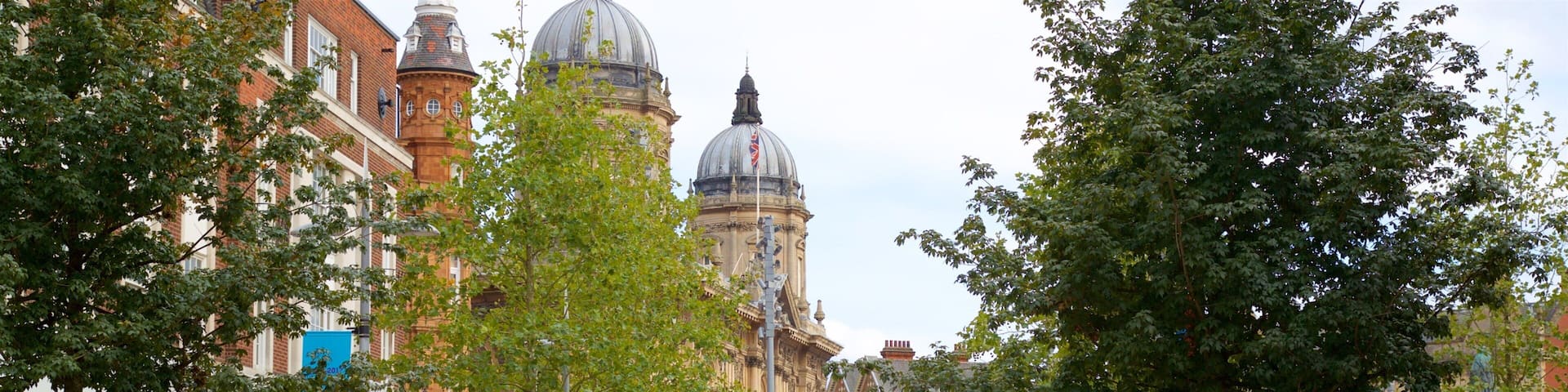 Hull featuring street scenes as well as a large group of people