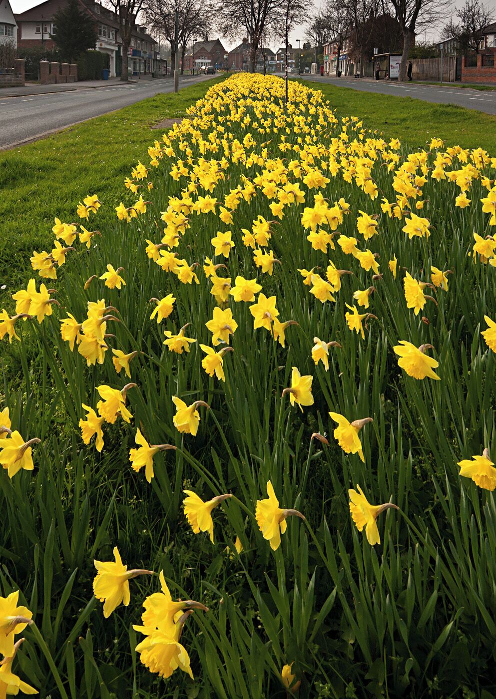 Spring Display IMG_2699