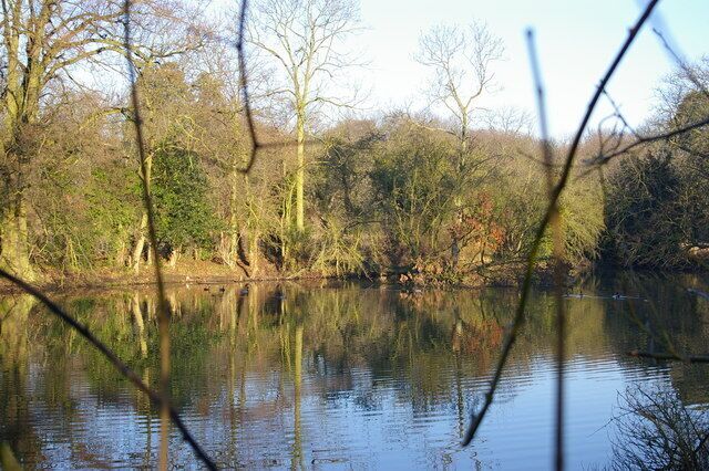 Lake near Tranby, near Anlaby, East Riding of Yorkshire, England.