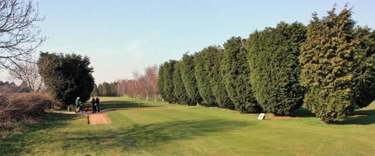 A golf course with a putting green, trees, and a clear sky.