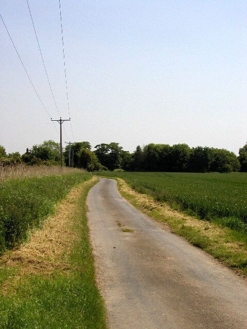 On a very minor road south west of Keyingham, East Riding of Yorkshire, England. Looking eastwards from MR: TA23262318.