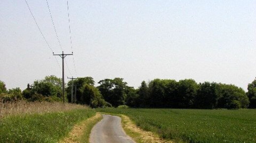 On a very minor road south west of Keyingham, East Riding of Yorkshire, England. Looking eastwards from MR: TA23262318.