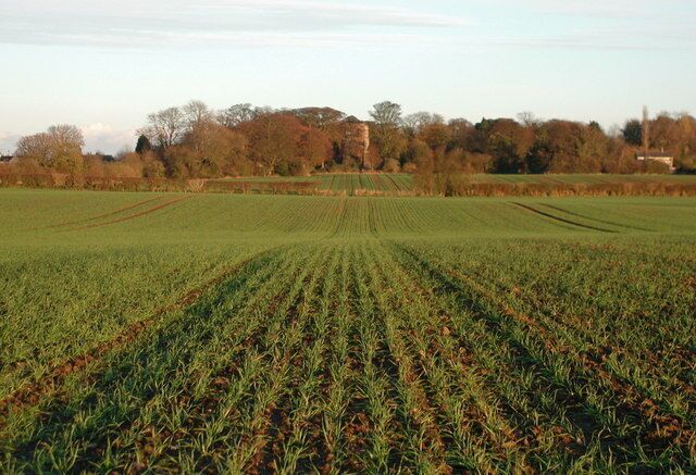 West of Sigglesthorne, East Riding of Yorkshire, England. Public footpath which stretches for nearly two miles straight across the open fields between Catwick village and Sigglesthorne. St. Lawrence Church 612327 is in the centre of the picture partly obscured by trees.