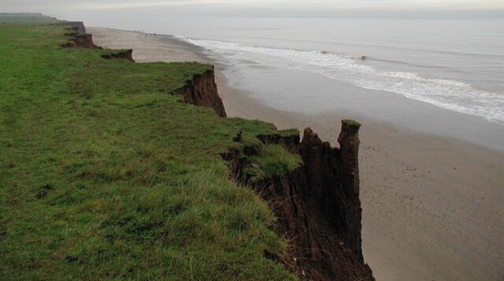 Tunstall Cliffs, Tunstall, East Riding of Yorkshire, England. Just north of the WW2 pillbox by the bridleway between Seaside Lane and Pasture Lane. Although the Ordnance Survey map for this area says 'revised for selected change 2006' much of the cliff edge is a good 50 metres inland from where it's plotted on the map.