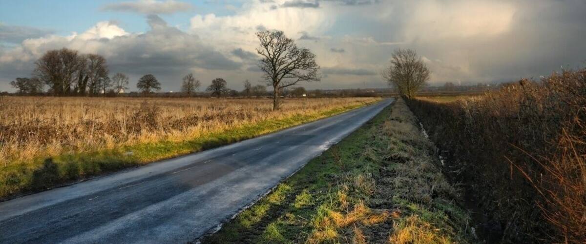 A rural road with a single tree in the distance, surrounded by fields and under a cloudy sky.