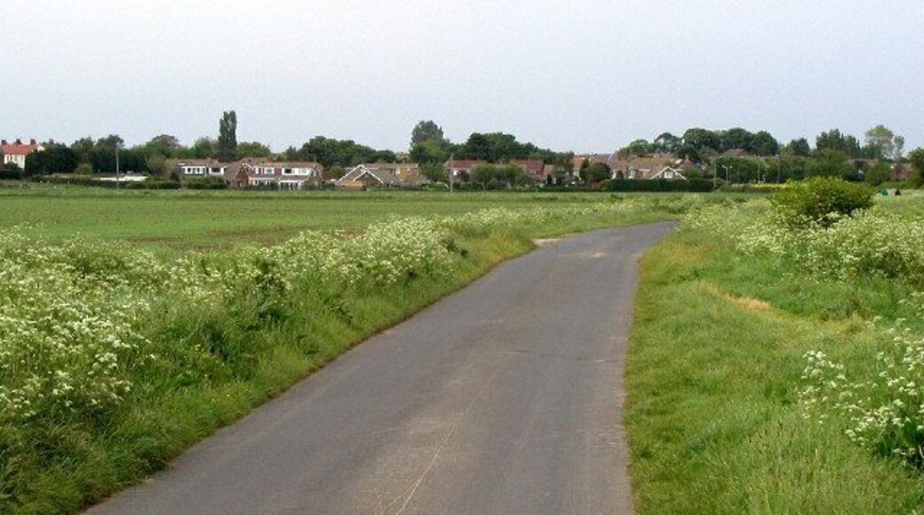 On the minor road south of Keyingham, East Riding of Yorkshire, England. Looking NNE from MR: TA24652472 towards Keyingham (pronounced Kay-ing-ham - many people call it Kee-ing-ham though!)