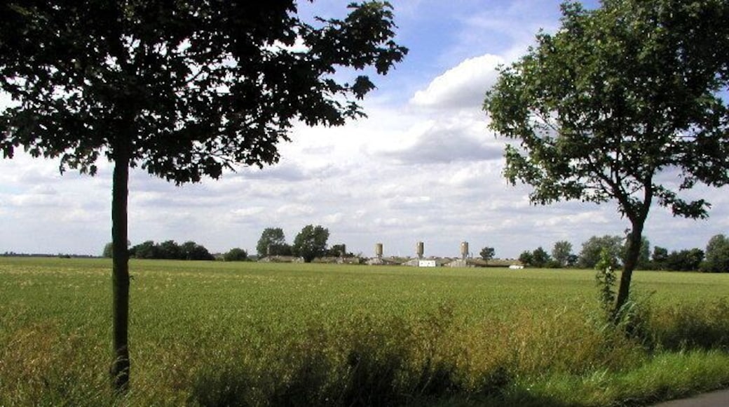 Distant Piggery, south of Ottringham, East Riding of Yorkshire, England. One of many piggeries in the Holderness area. Picture taken from MR: TA26582307 looking NW.