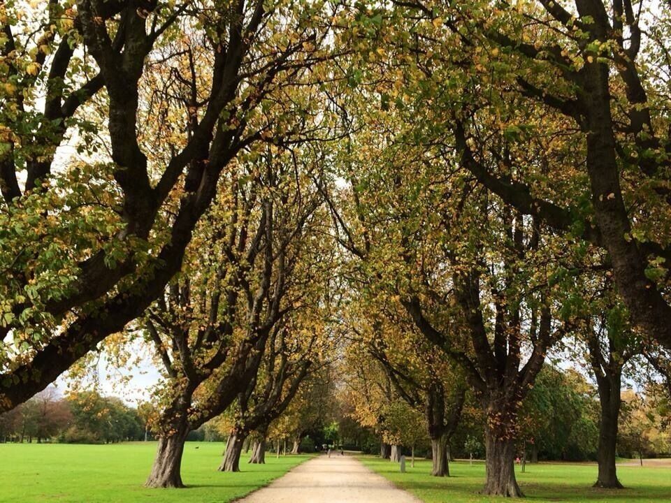 I love the autumn in East Park 