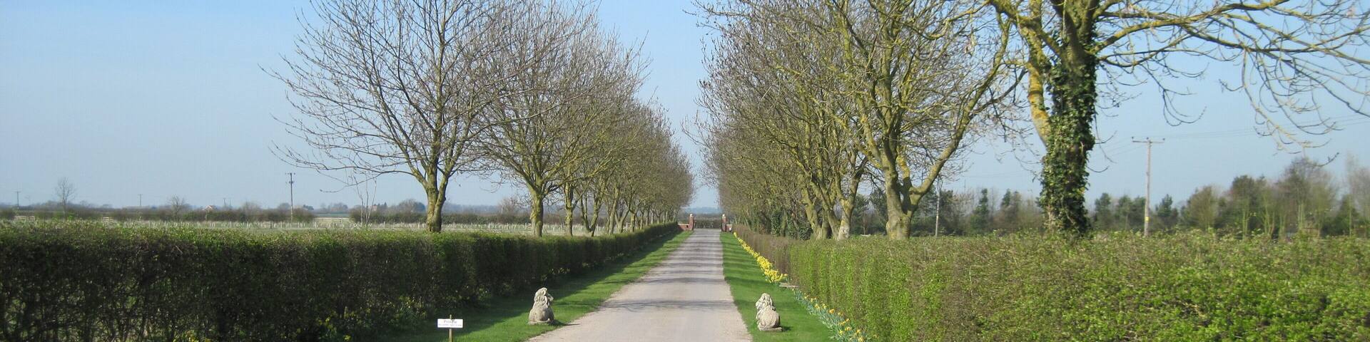 The driveway from Withernwick Hall, Withernwick, East Riding of Yorkshire, England.