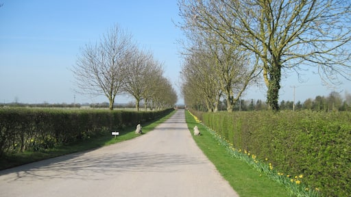 The driveway from Withernwick Hall, Withernwick, East Riding of Yorkshire, England.