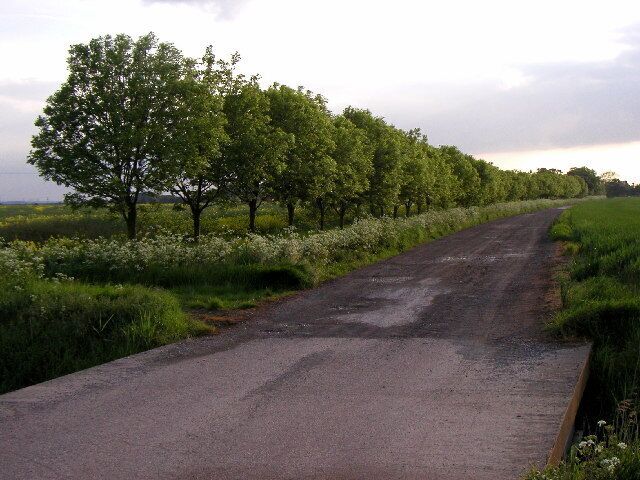 The new track at TA24112314 south of Keyingham, East Riding of Yorkshire, England. This track was only put in a few years ago. Previous to this, it meant a four mile journey just to get to the road at the other side of the field! The track has not been metallised yet though! Looking westerly at MR: TA24112314.