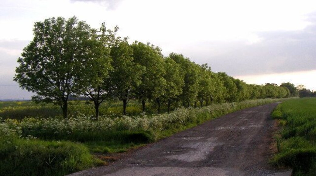 The new track at TA24112314 south of Keyingham, East Riding of Yorkshire, England. This track was only put in a few years ago. Previous to this, it meant a four mile journey just to get to the road at the other side of the field! The track has not been metallised yet though! Looking westerly at MR: TA24112314.