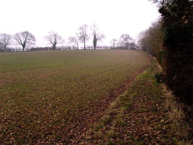 The path to Roe Hill, south of Old Ellerby, East Riding of Yorkshire, England. Taken in rapidly diminishing light on a very high 'film' setting (1600ASA equivalent), the late autumnal colours can just be captured!