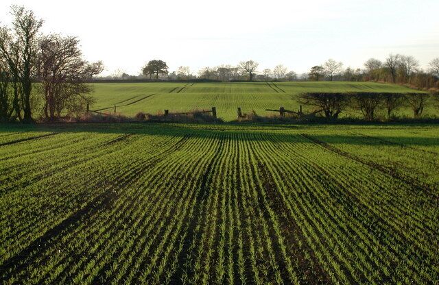 West of Sigglesthorne, East Riding of Yorkshire, England. Public footpath which stretches for nearly two miles straight across the open fields between Sigglesthorne Church and Catwick. The second field boundary on the distant horizon in the picture is at the parish boundary on the road called Catwick Heads.