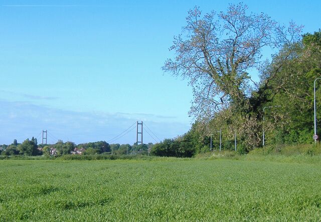 Field next to Lowfield Road, Anlaby, East Riding of Yorkshire, England. The towers of the Humber Bridge are visible in the distance.