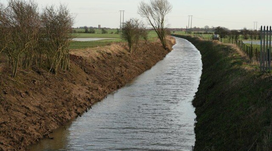 Burstwick Drain - Looking east towards Burstwick, East Riding of Yorkshire, England. Most of the shrubs have been cleared from the banks. All Saints church can be seen on the skyline 1.5 km away.
