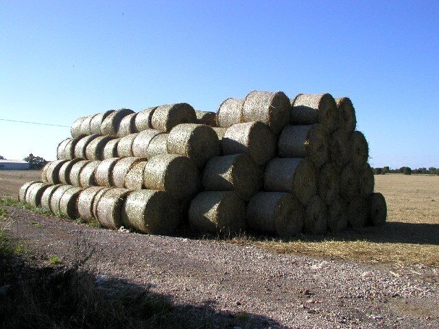 Straw Bales, south of Fitling, East Riding of Yorkshire, England. Taken at MR: TA25423413 looking NW.