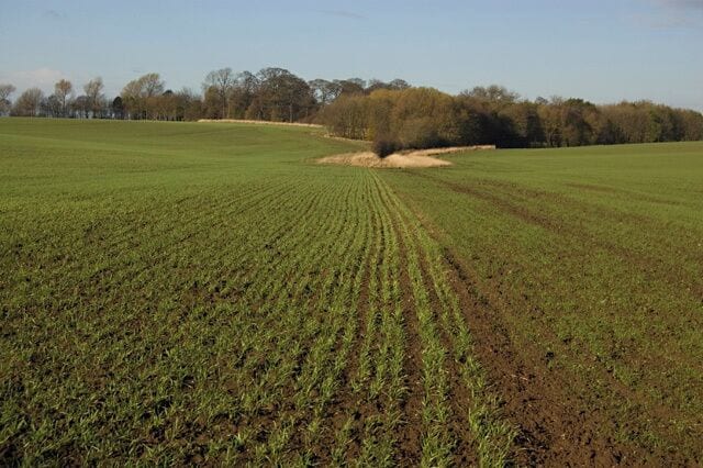 Farmland near Lelley, East Riding of Yorkshire, England. Looking towards Mill Hill east of Nuttles Lane
