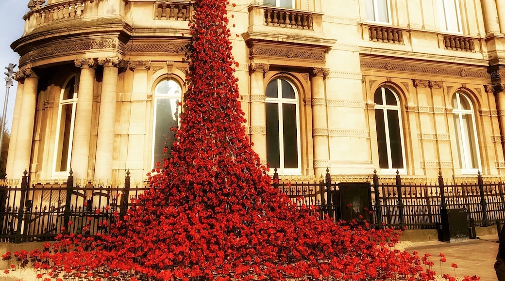 As part of the City of Culture the 'Weeping Window' poppy installation will be in Hull until May. A great addition to our town centre.