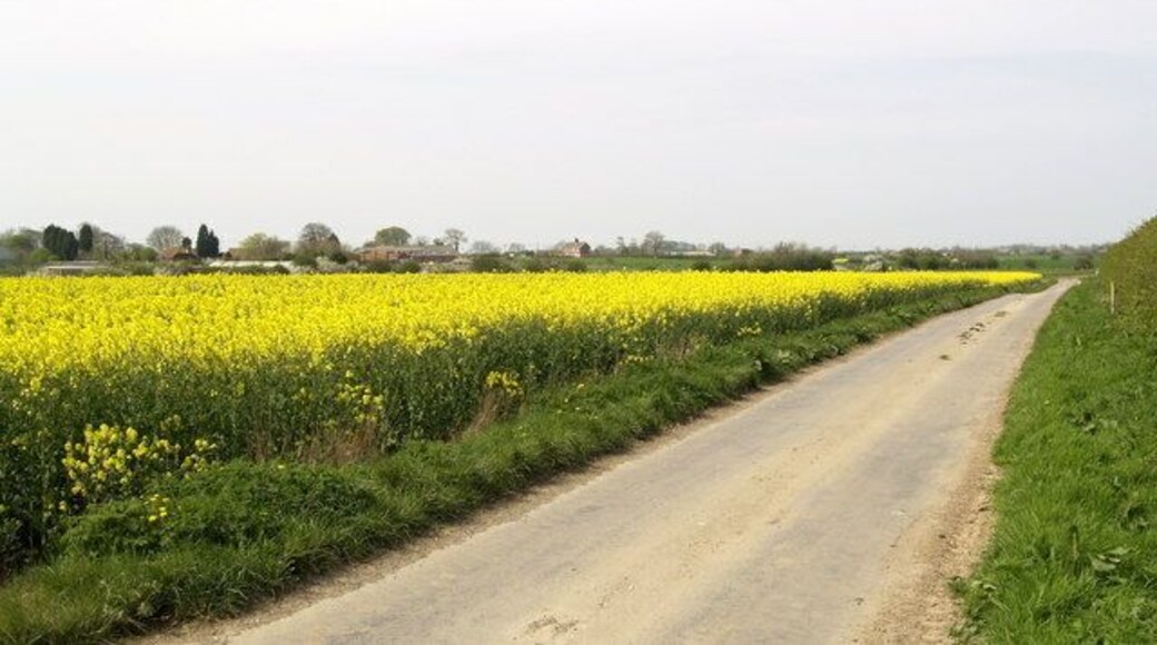 The road to Fitling, East Riding of Yorkshire, England.