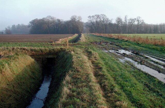 Ings Lane, Winestead, East Riding of Yorkshire, England. The bridleway from Ingslane Bridge, looking towards Enholmes Hall which is hidden by the trees.