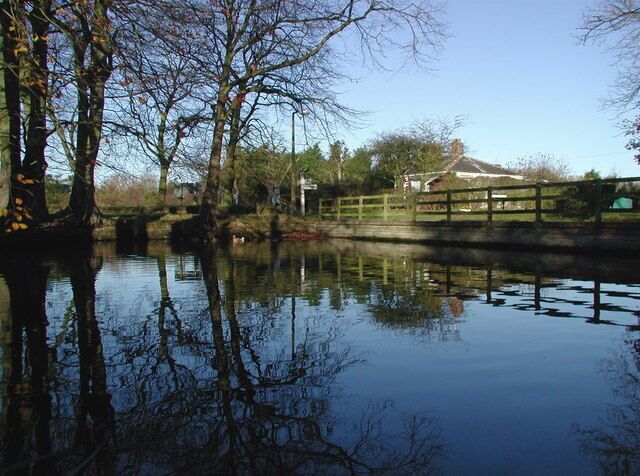 Hatfield village pond, Great Hatfield, East Riding of Yorkshire, England. Duckpond opposite the Mappleton Road junction on the west side of Cross Street, Great Hatfield.
