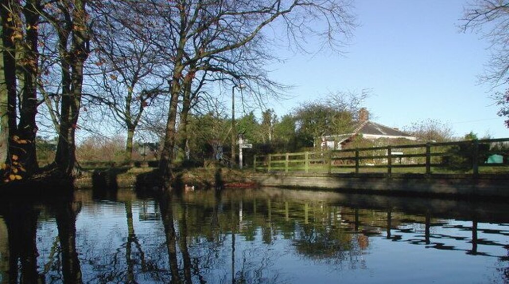 Hatfield village pond, Great Hatfield, East Riding of Yorkshire, England. Duckpond opposite the Mappleton Road junction on the west side of Cross Street, Great Hatfield.