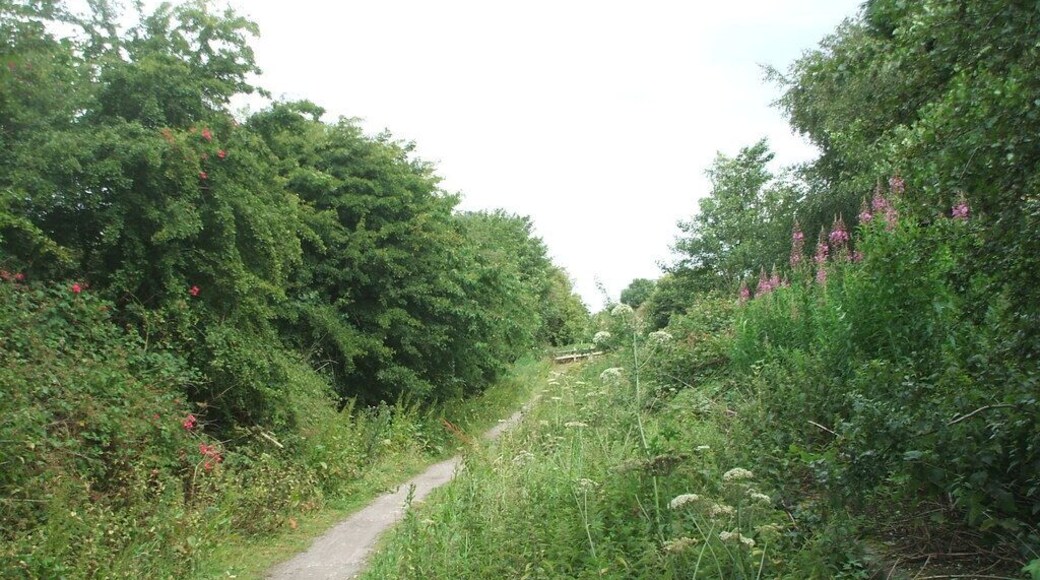 Ellerby (previously Burton Constable) railway station (site), New Ellerby, East Riding of Yorkshire, England. Opened as Burton Constable in 1864 by the Hull & Hornsea Railway, which soon to become part of the North Eastern Railway empire, this station closed in 1964. View north towards Whitedale and Hornsea. The roadside station building was still located behind the trees to the left when this image was taken, but the railway cutting underneath the former road bridge has long since been filled in.