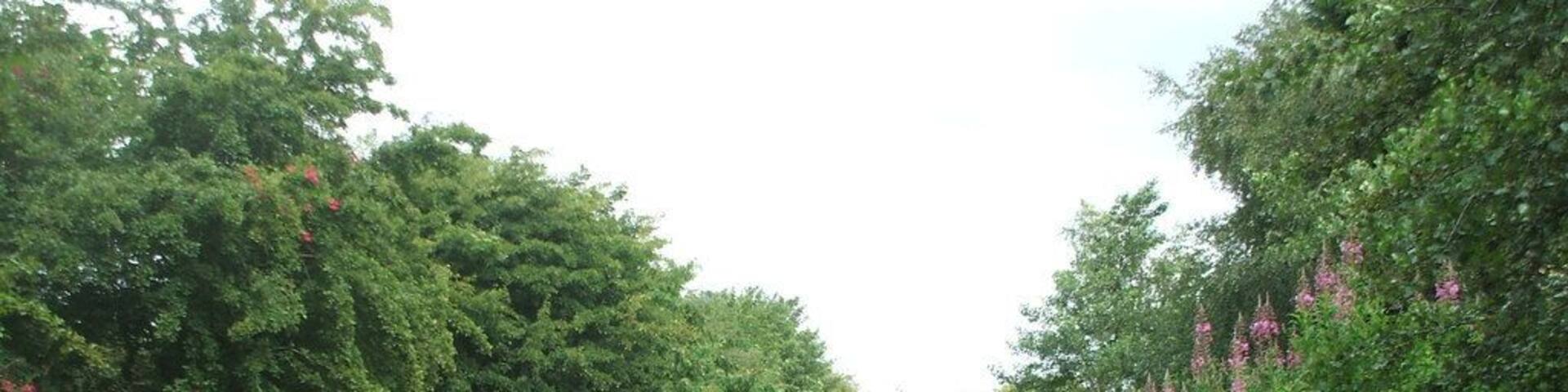 Ellerby (previously Burton Constable) railway station (site), New Ellerby, East Riding of Yorkshire, England. Opened as Burton Constable in 1864 by the Hull & Hornsea Railway, which soon to become part of the North Eastern Railway empire, this station closed in 1964. View north towards Whitedale and Hornsea. The roadside station building was still located behind the trees to the left when this image was taken, but the railway cutting underneath the former road bridge has long since been filled in.