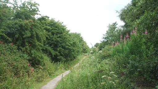 Ellerby (previously Burton Constable) railway station (site), New Ellerby, East Riding of Yorkshire, England. Opened as Burton Constable in 1864 by the Hull & Hornsea Railway, which soon to become part of the North Eastern Railway empire, this station closed in 1964. View north towards Whitedale and Hornsea. The roadside station building was still located behind the trees to the left when this image was taken, but the railway cutting underneath the former road bridge has long since been filled in.