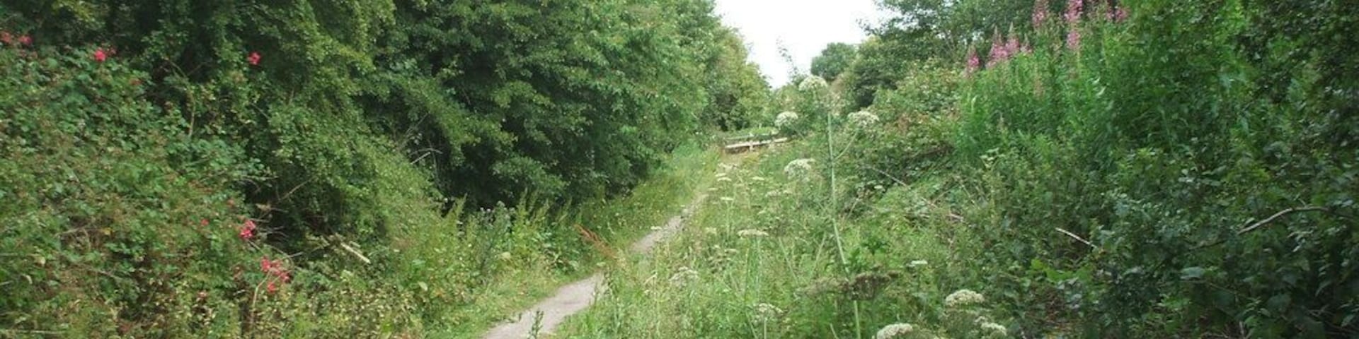 Ellerby (previously Burton Constable) railway station (site), New Ellerby, East Riding of Yorkshire, England. Opened as Burton Constable in 1864 by the Hull & Hornsea Railway, which soon to become part of the North Eastern Railway empire, this station closed in 1964. View north towards Whitedale and Hornsea. The roadside station building was still located behind the trees to the left when this image was taken, but the railway cutting underneath the former road bridge has long since been filled in.