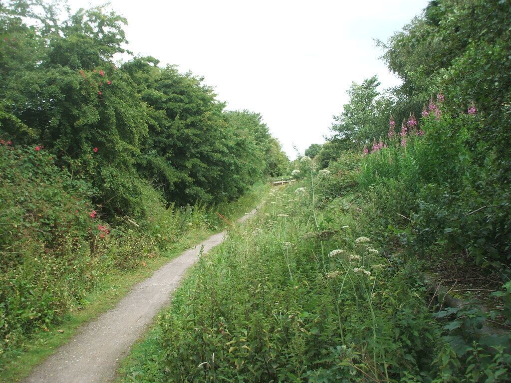 A narrow dirt path flanked by dense greenery and flowering bushes.