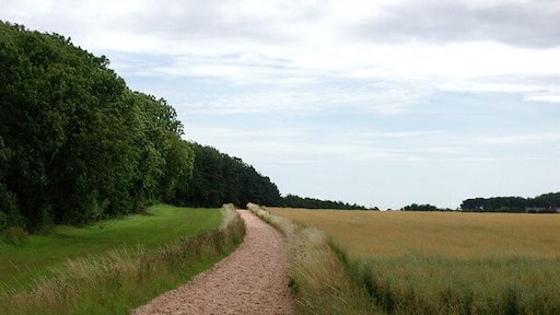 Farnton Hill Gallops, Long Riston, East Riding of Yorkshire, England. A training course for race horses has existed at Farnton Hill since the 19th century. A track of sand mixed with wool now runs alongside the public footpath between Long Riston and the parish boundary with Rise at the southeast corner of Farnton Plantations.